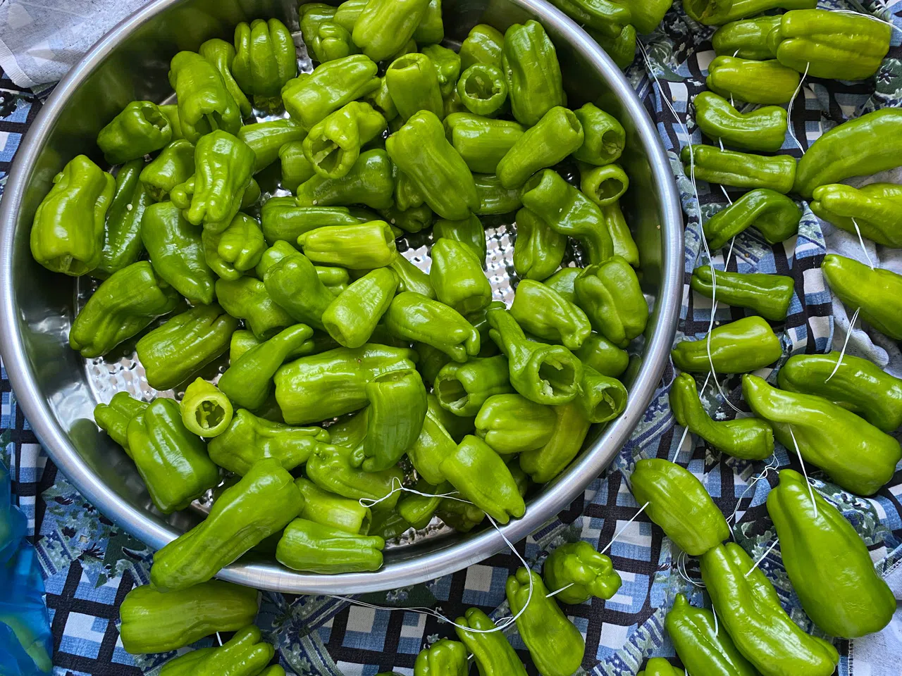 Kış Hazırlıkları Tam Gaz Devam Ediyor