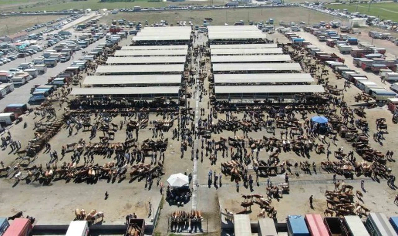 Bakan Yumaklı'dan Sivas'ta ki hastalığa ilişkin açıklama