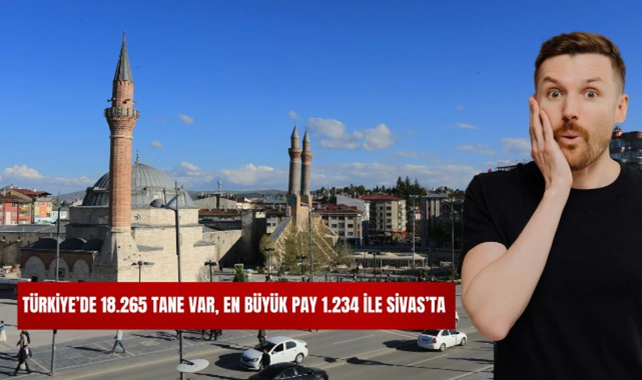 Türkiye'de 18.265 Tane Var, En Büyük Pay 1.234 ile Sivas'ta