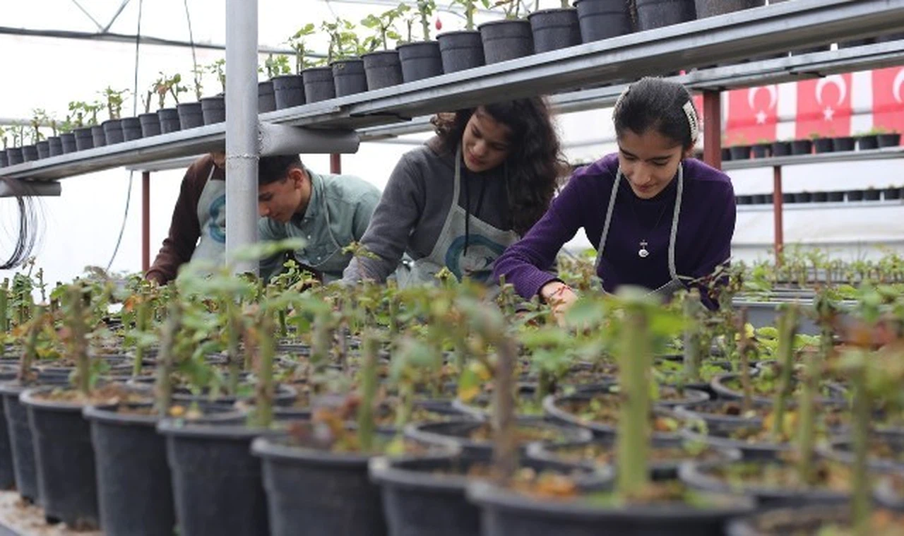 Eğitimden üretime giden tarım yolculuğu