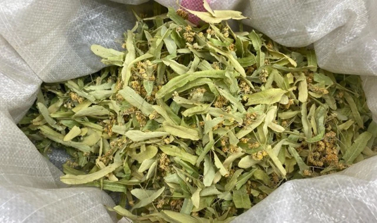 Ihlamurun kilosu 600 TL