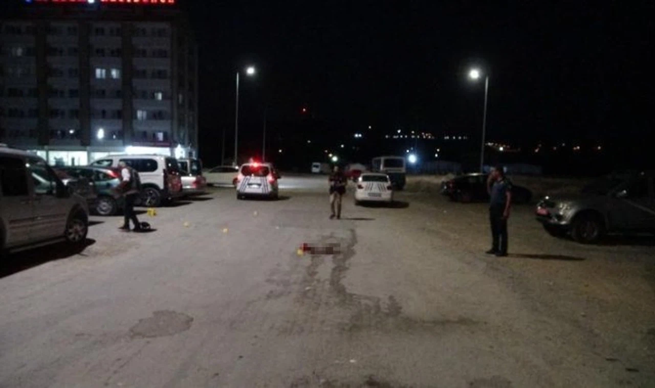 Akraba kavgasında 2 ölü