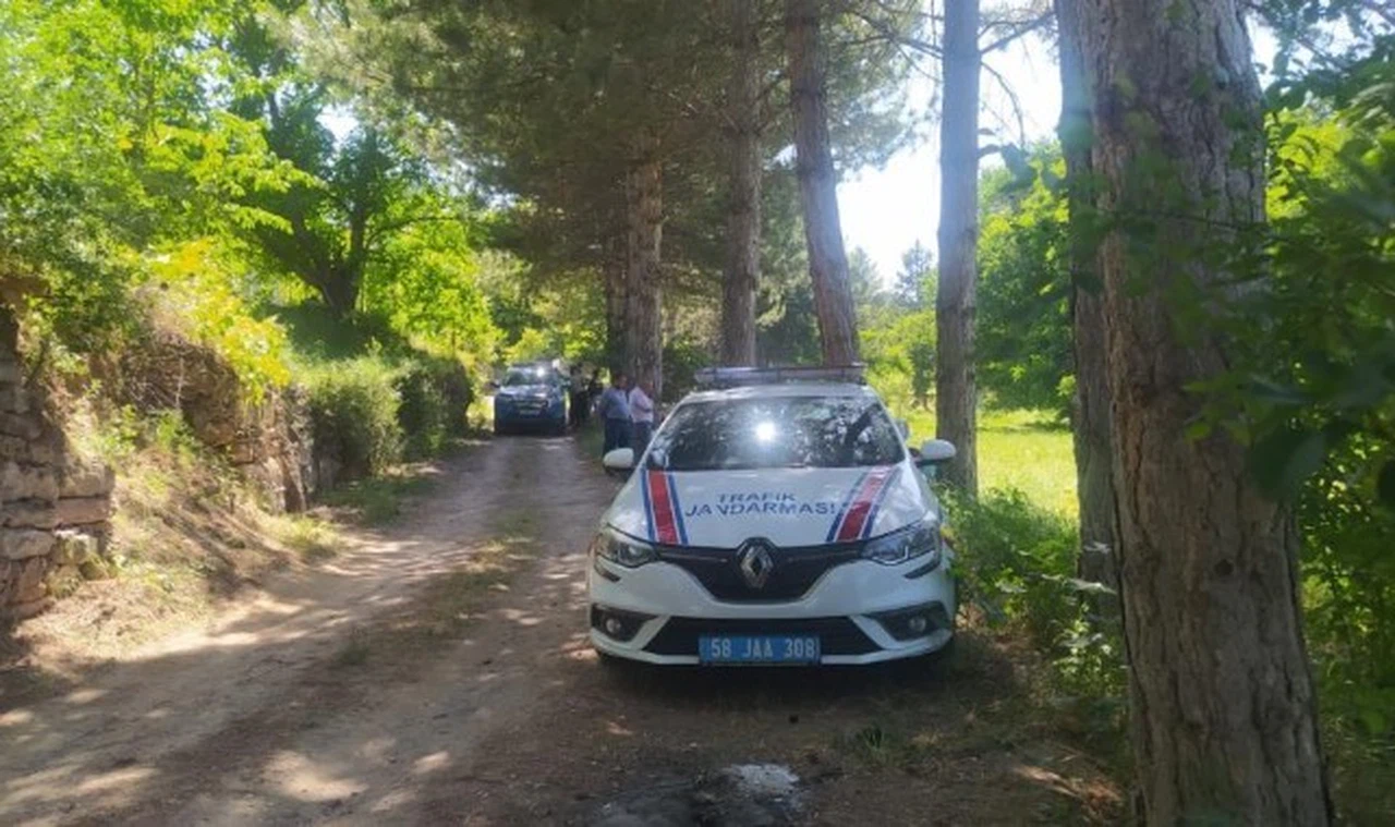 Gemerek'te kafatası bulundu