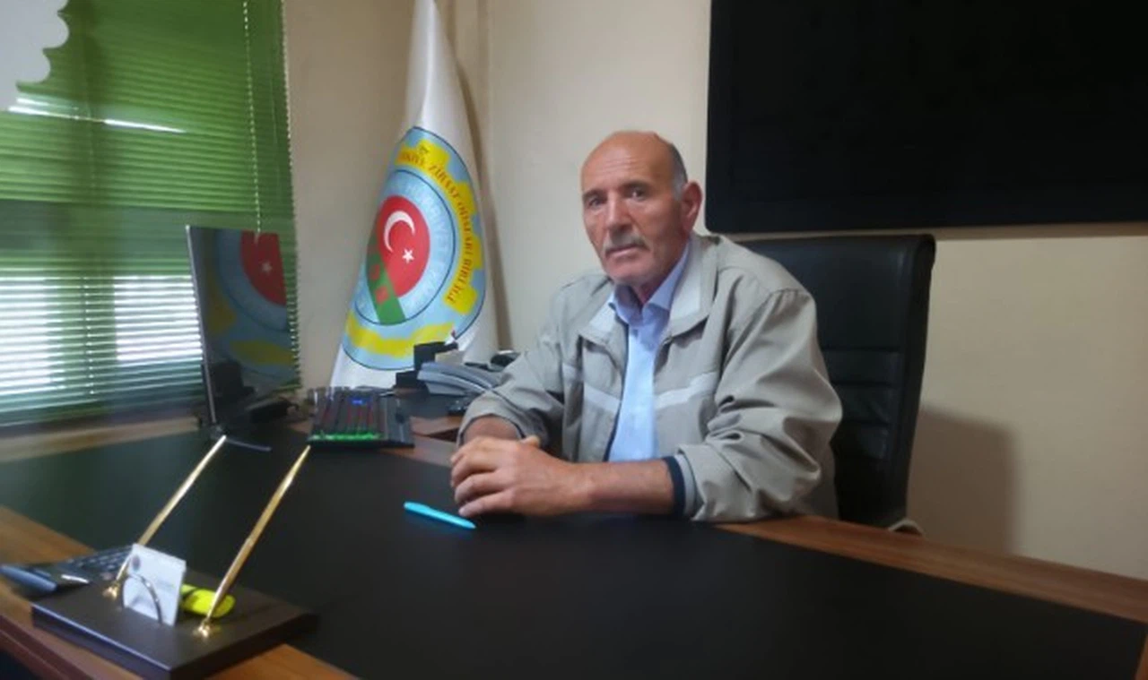 Koyulhisar domatesinde zorlu günler yaşanıyor