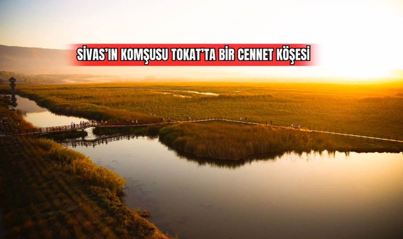 Sivas'ın Komşusu Tokat'ta Bir Cennet Köşesi 