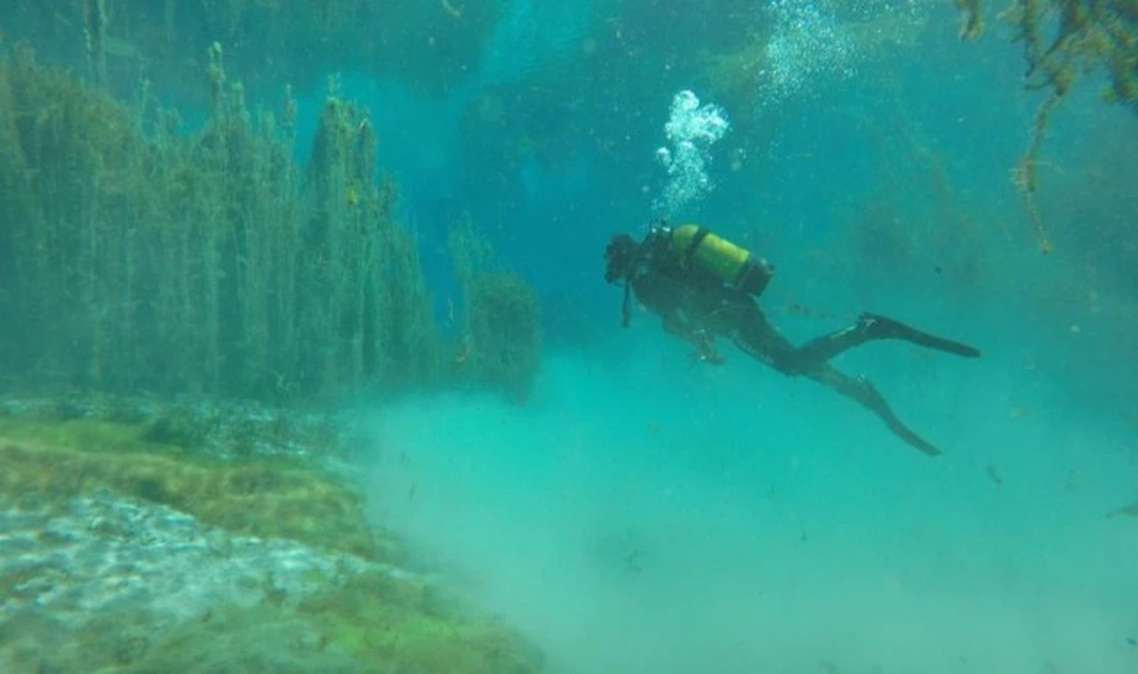 Gökpınar'da temizlik