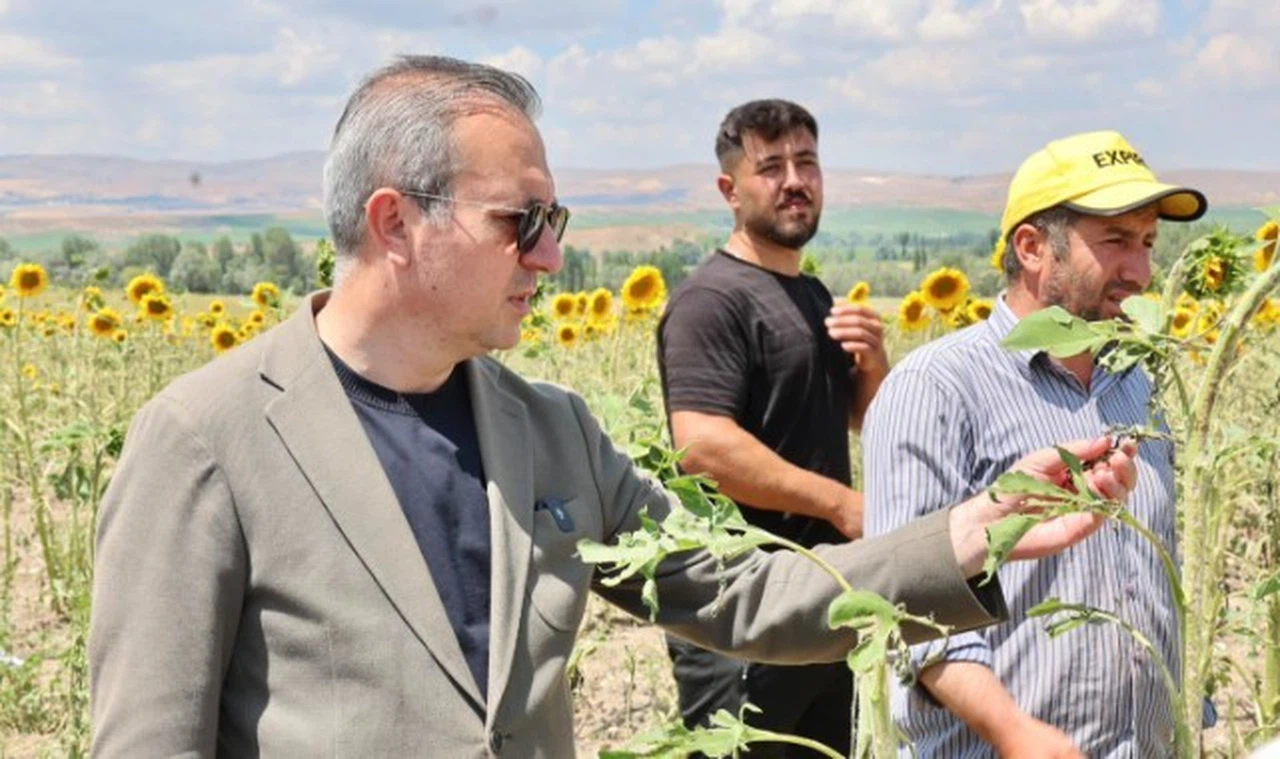 Sivas'ta Başkan Uzun çiftçilerle buluştu