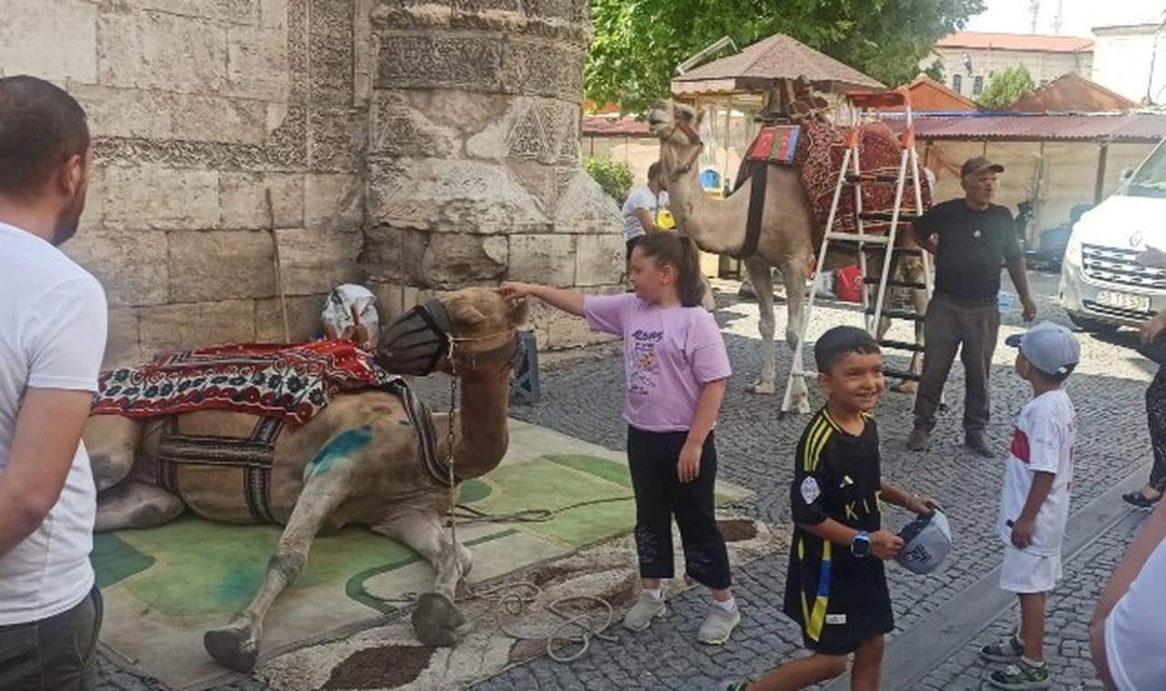 Sivas esnafına, Sivas Esnaf Sanatkarlar Odası'ndan darbe
