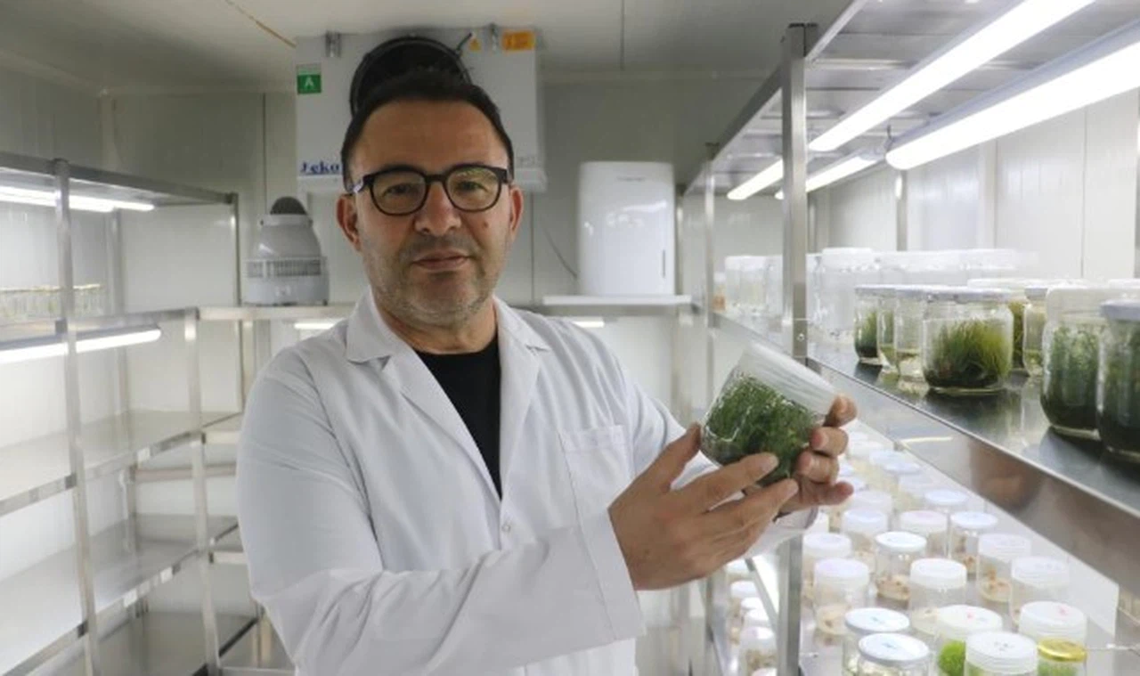 Sivas'ta kıtlığa karşı ata tohumlu çözüm