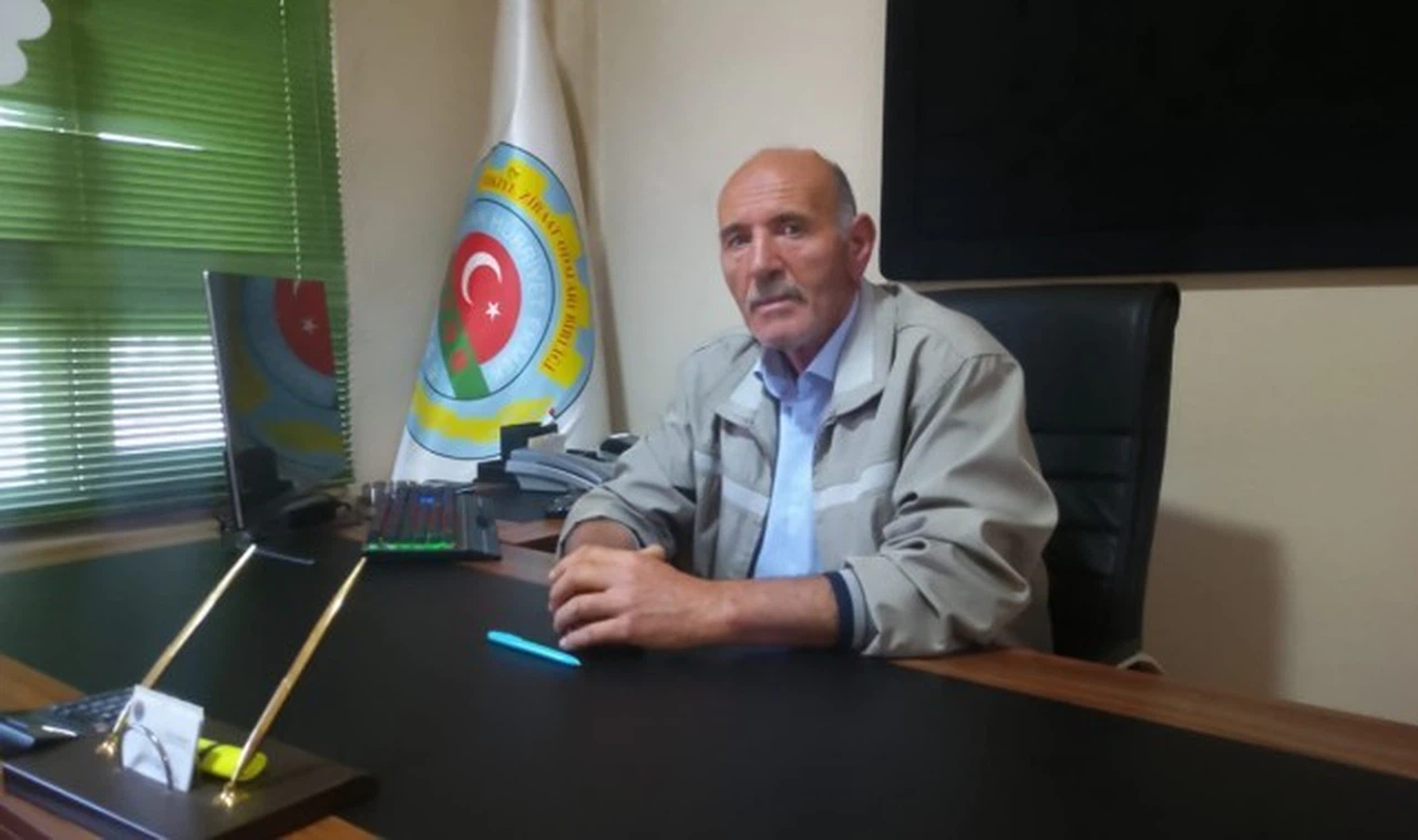 İklim değişikliği Koyulhisar domateslerini de etkiledi