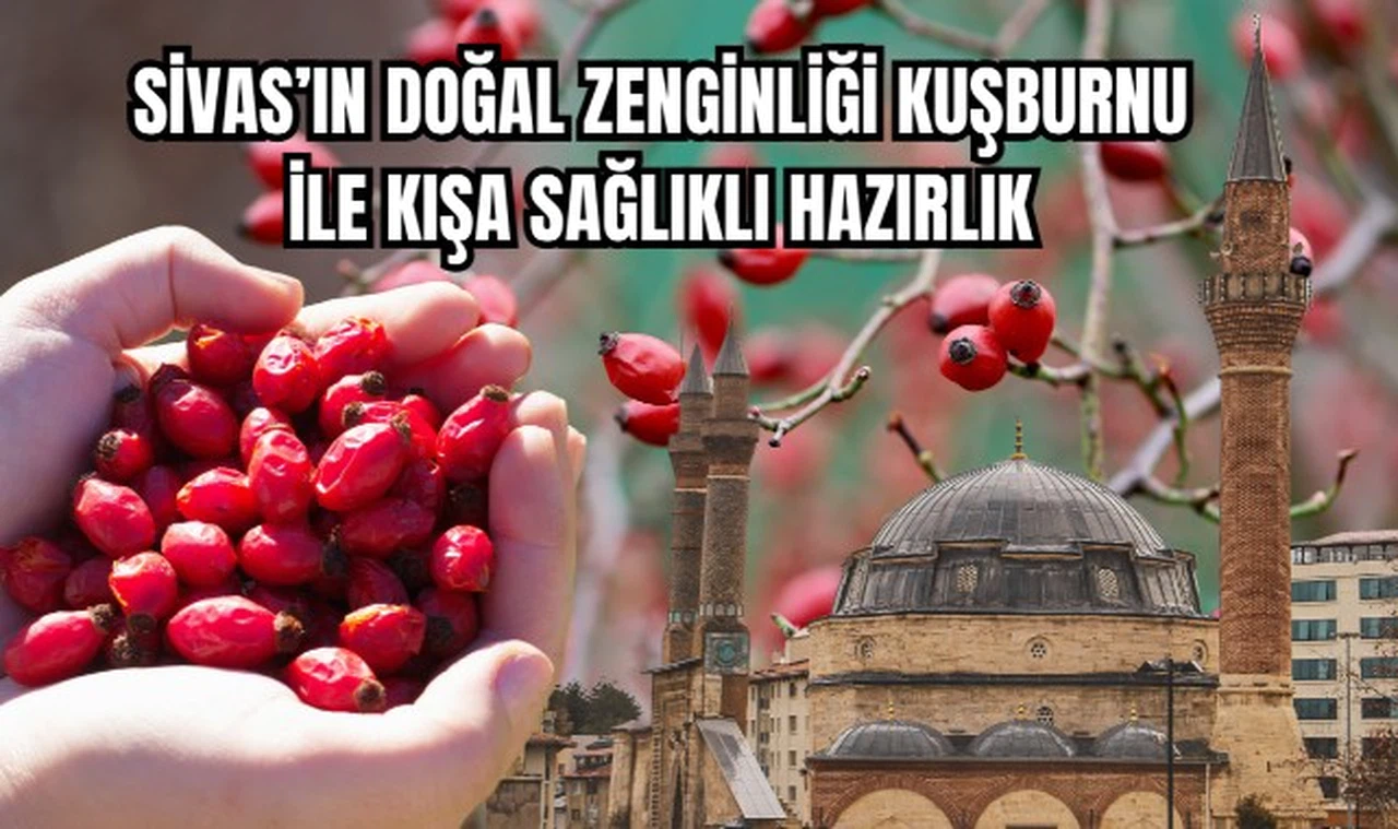 Sivas'ın Doğal Zenginliği Kuşburnu ile Kışa Sağlıklı Hazırlık