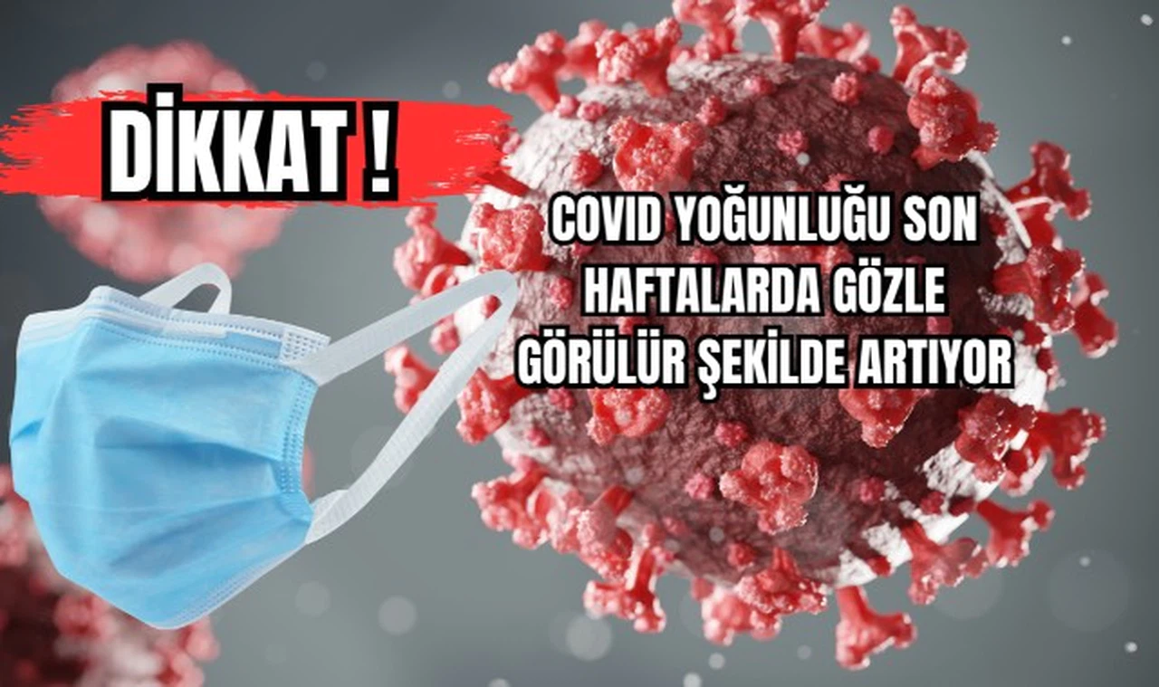 COVID Yoğunluğu Son Haftalarda Gözle Görülür Şekilde Artıyor