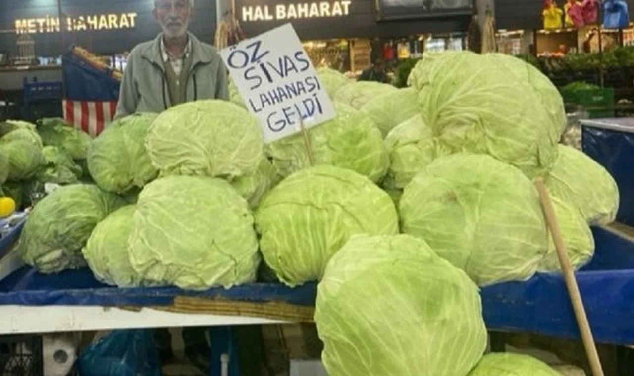 Sivas bostanlarının dev gülünün en büyük özelliği atadan