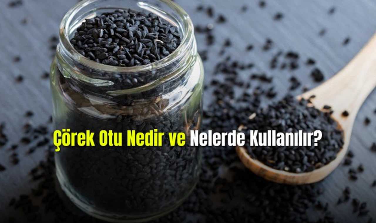 Çörek Otu Nedir ve Nelerde Kullanılır?