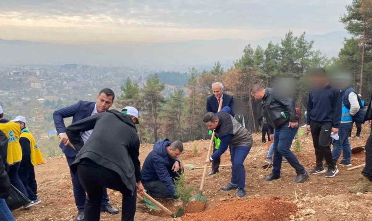 Denetimli hükümlüler fidan dikti