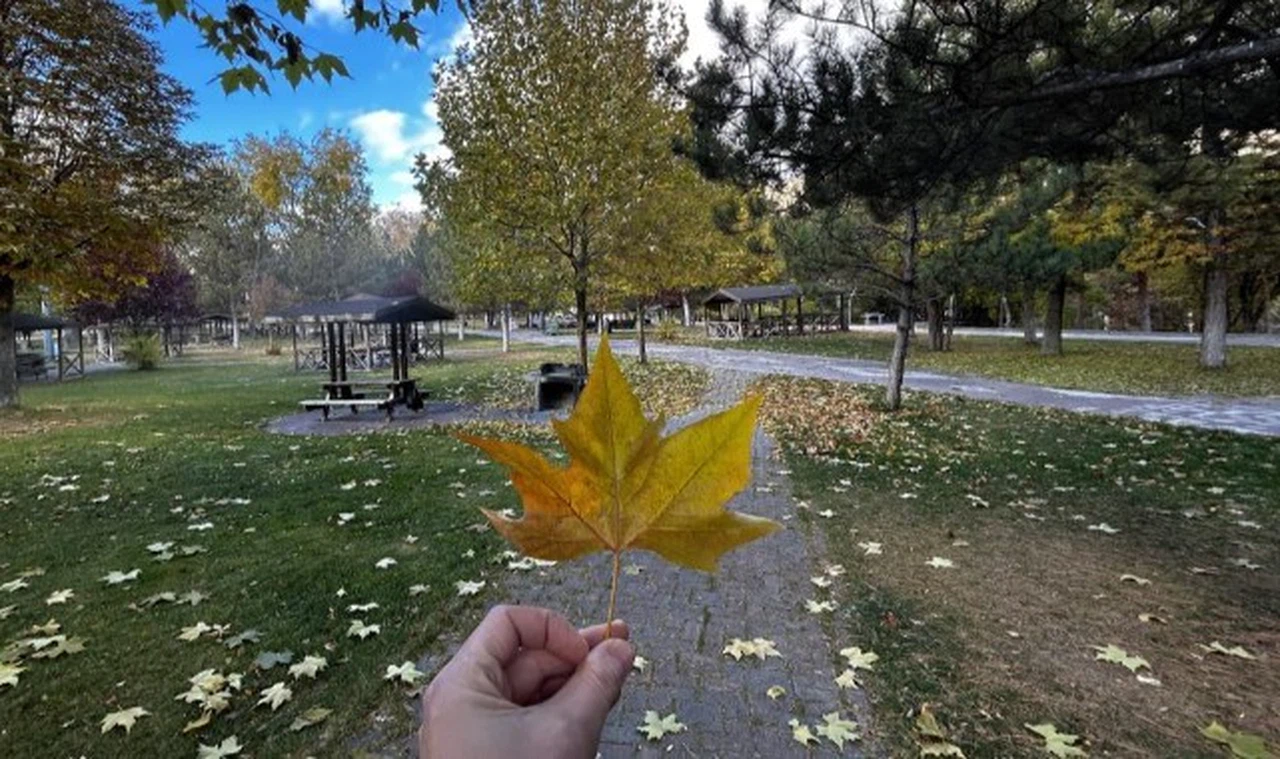 Sivas Paşabahçe'de huzur var