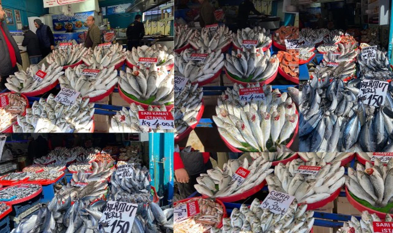 Sivas'ta Soğuk Hava Balık Bereketi Getirdi