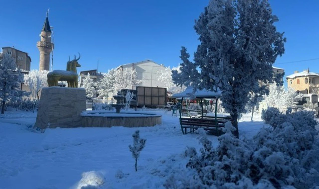 Altınyayla'da hayat durdu