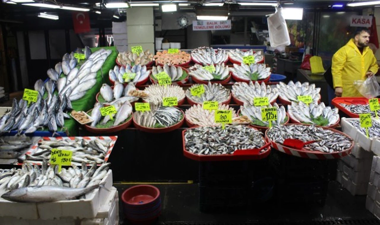 Hamsi ve istavritte bolluk fiyatlara yansıdı