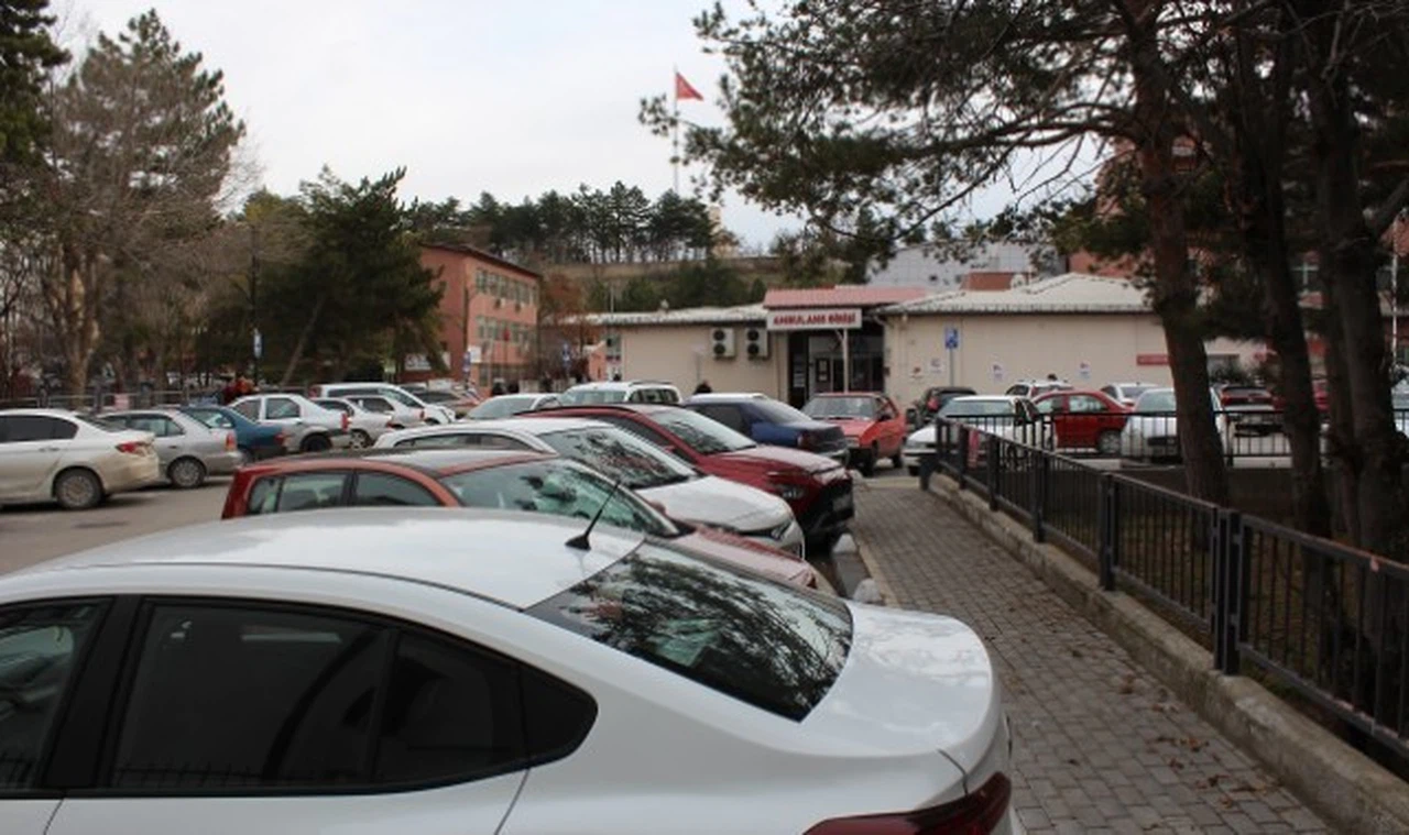 Otopark mı, Devlet Hastanesi mi