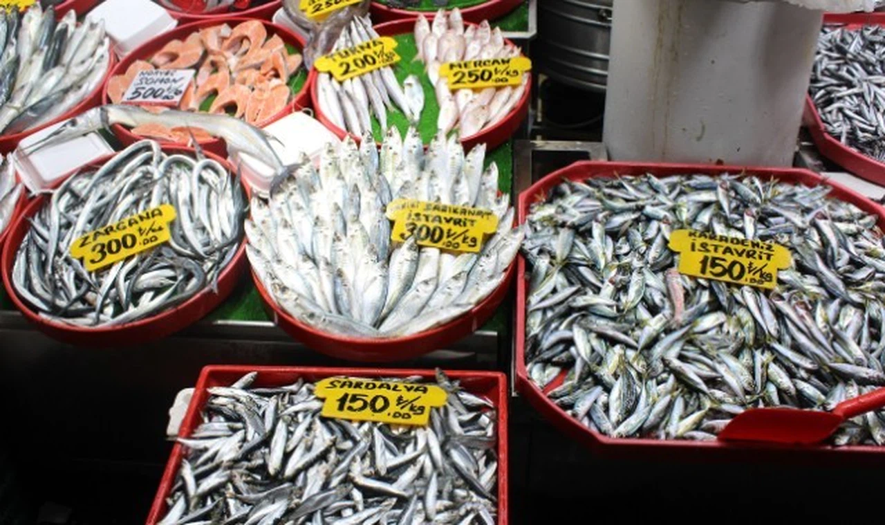 Sivas'ta ayaz balık fiyatlarına yaramadı