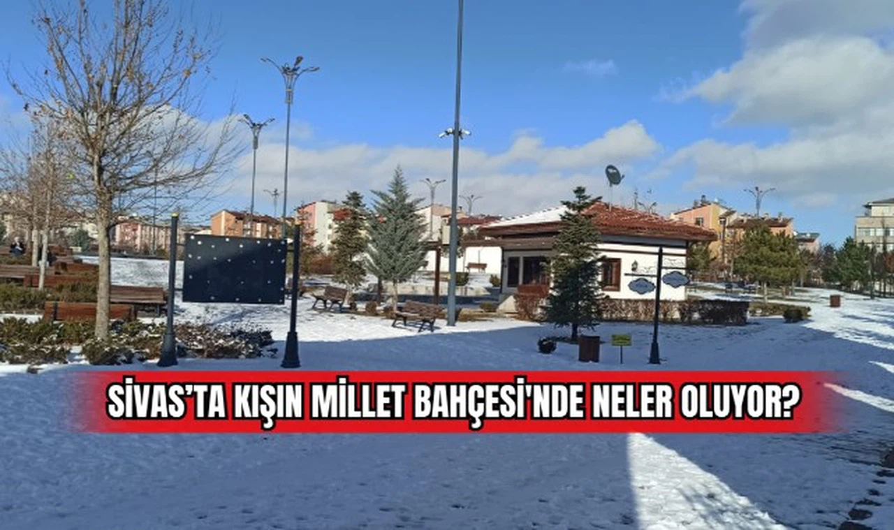 Sivas'ta Kışın Millet Bahçesi'nde Neler Oluyor? 