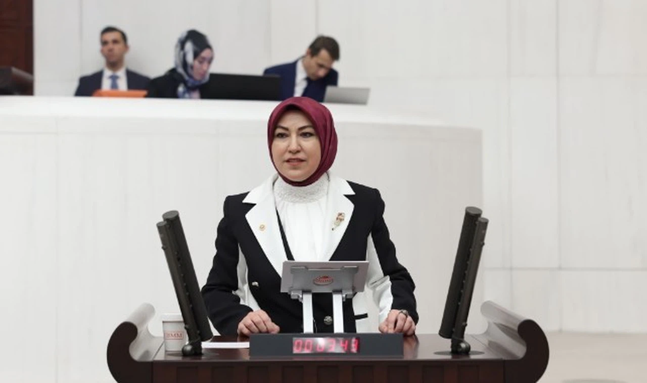 Sivas vekili Toy'dan LGBT çıkışı