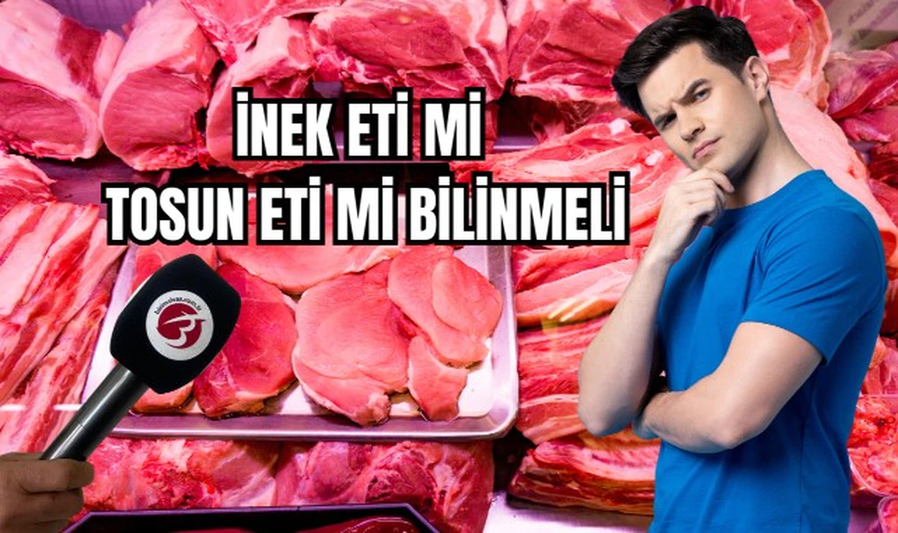 İnek eti mi tosun eti mi bilinmeli