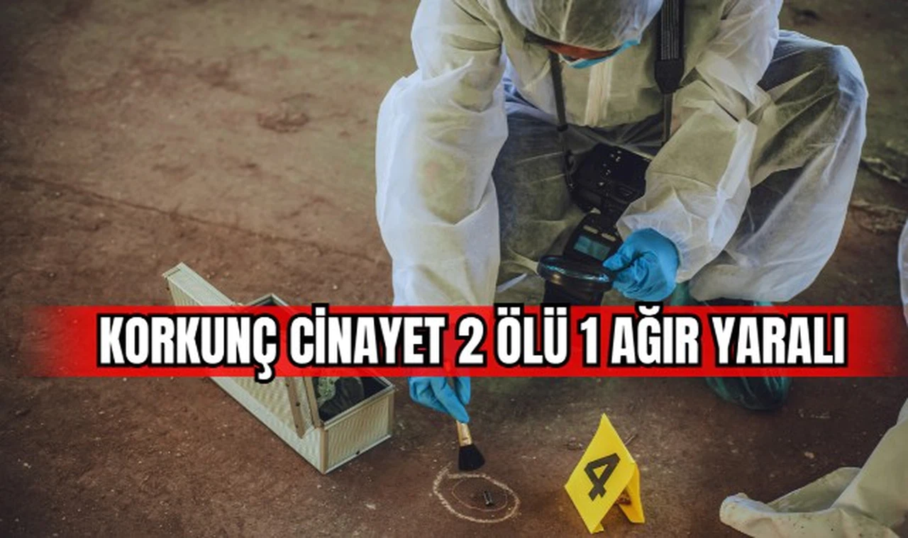 Korkunç cinayet 2 ölü 1 ağır yaralı