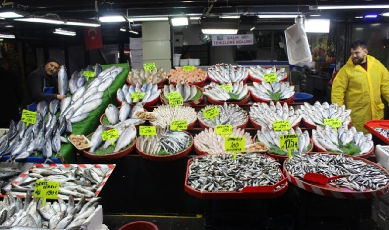 Ocak ayında en lezzetli balıklar: Hamsi ve Torik