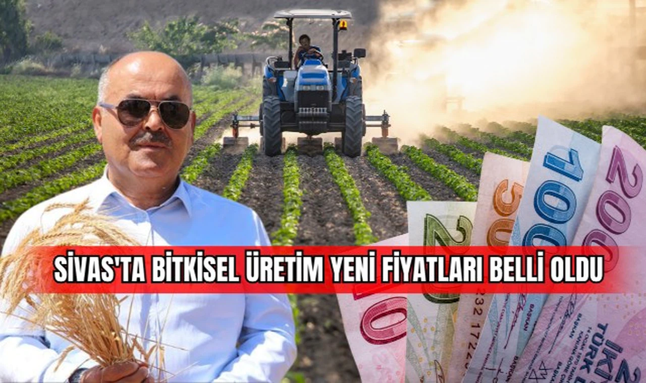 Sivas'ta bitkisel üretim yeni fiyatları belli oldu