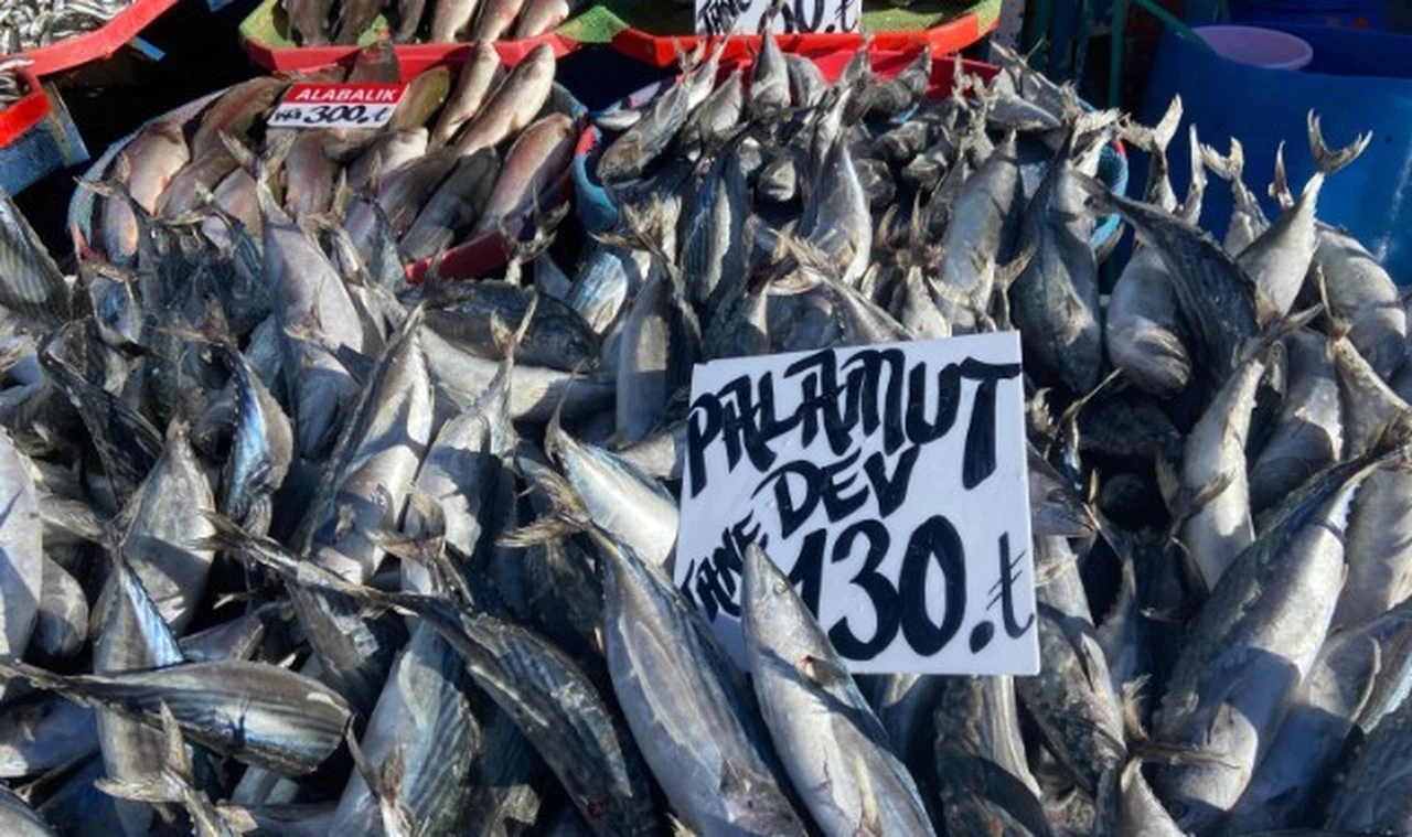 Sivas'ta bu bolluk balıkçılara yaradı