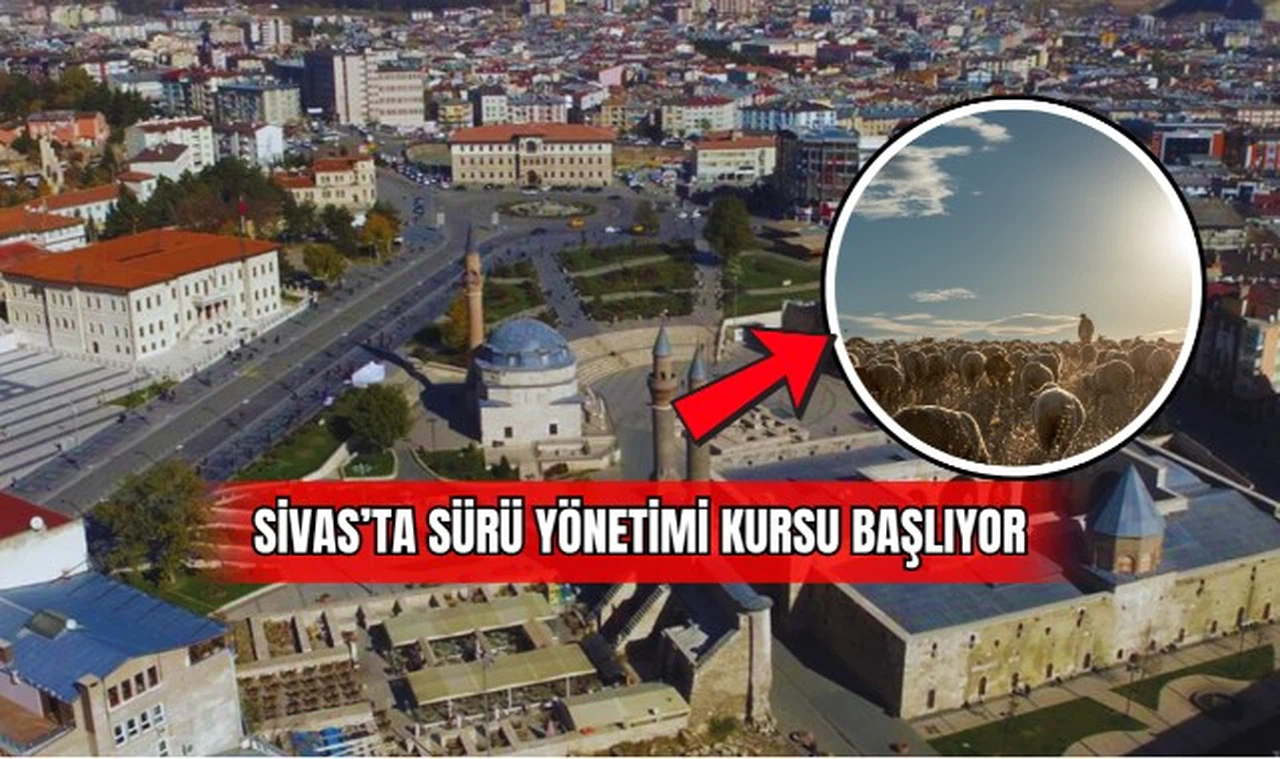 Sivas'ta Sürü Yönetimi Kursu Başlıyor 