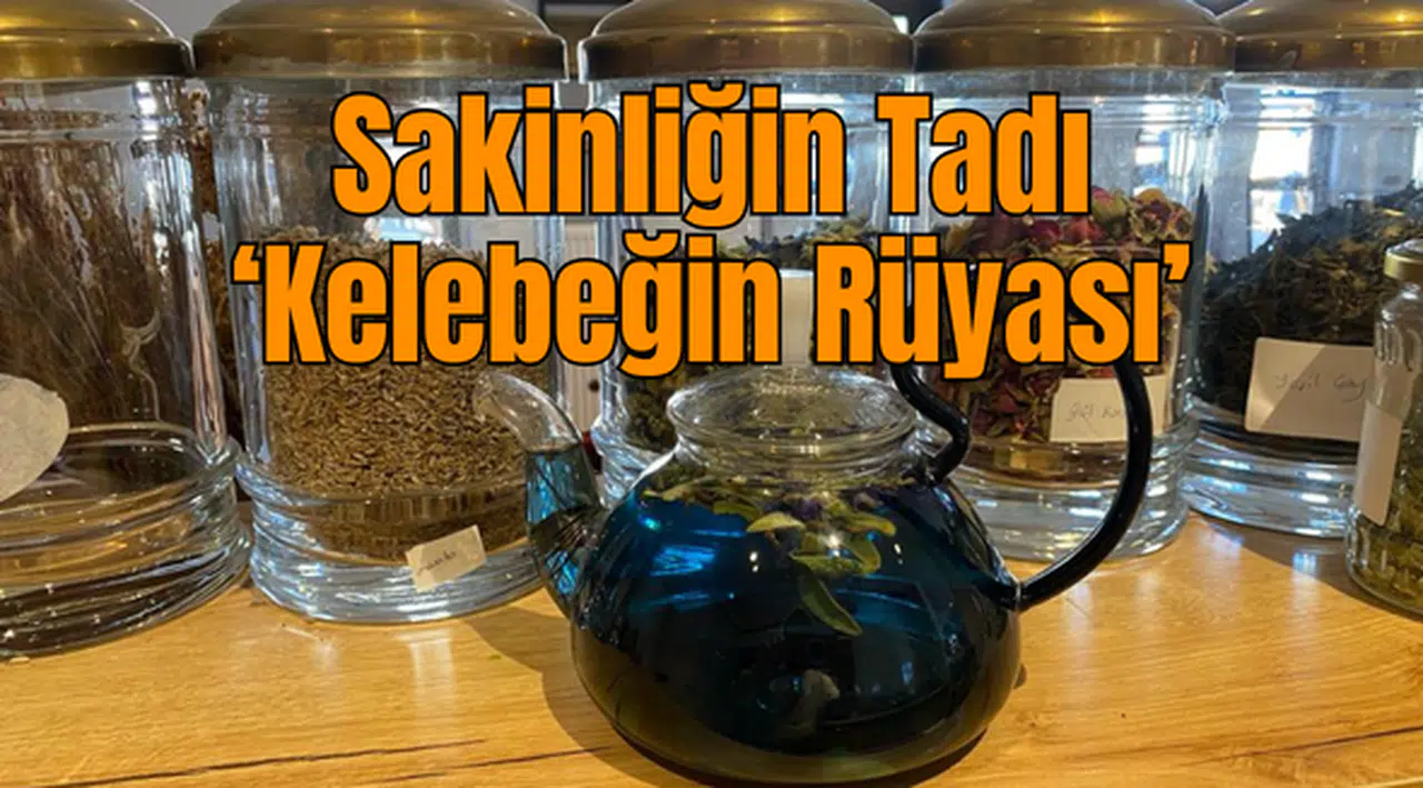 Sakinliğin Tadı 'Kelebeğin Rüyası'