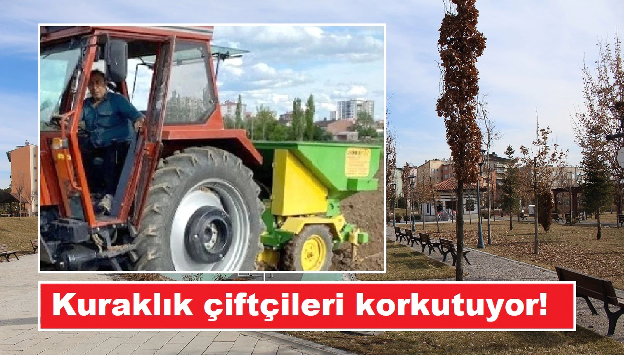 Sivas Kış Ayında Yaz Havası Yaşıyor