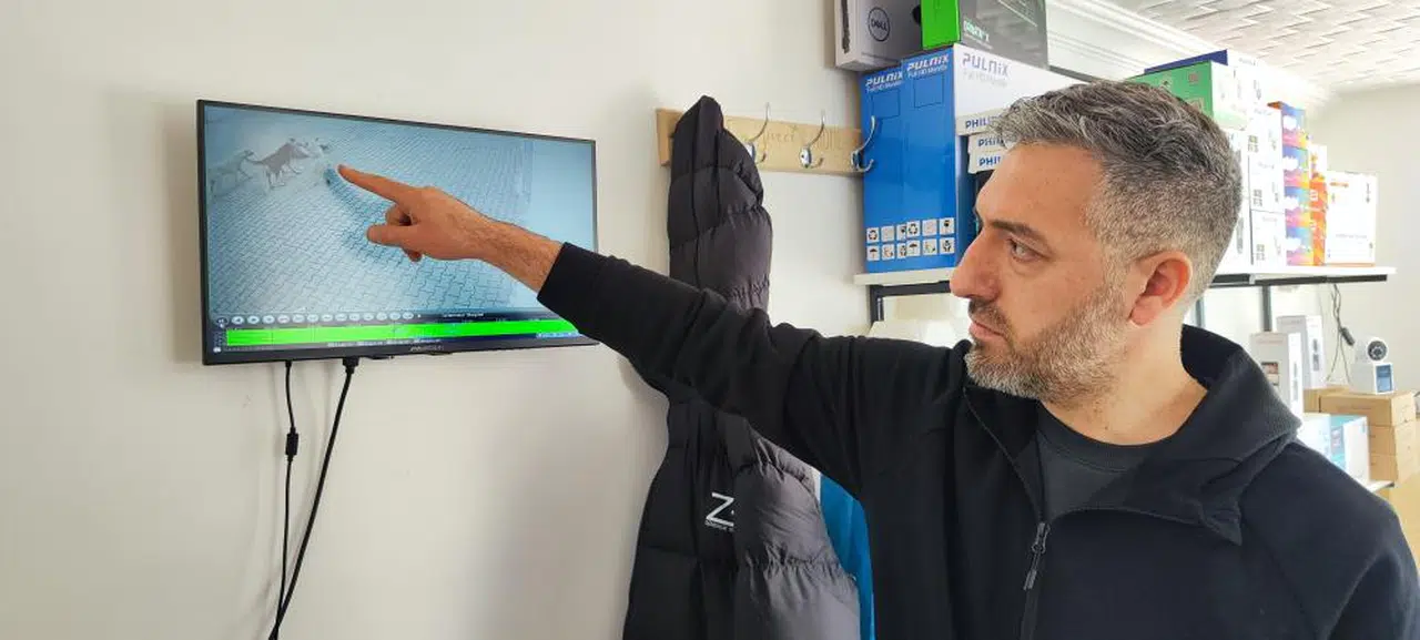 Sokak Köpekleri Artık Yıldırdı