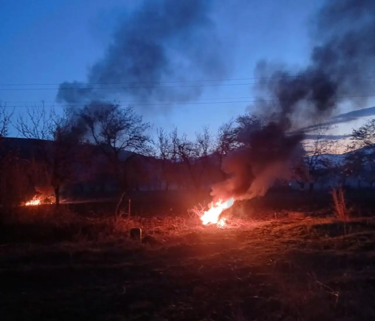 Zirai don için çiftçiler teyakkuzda