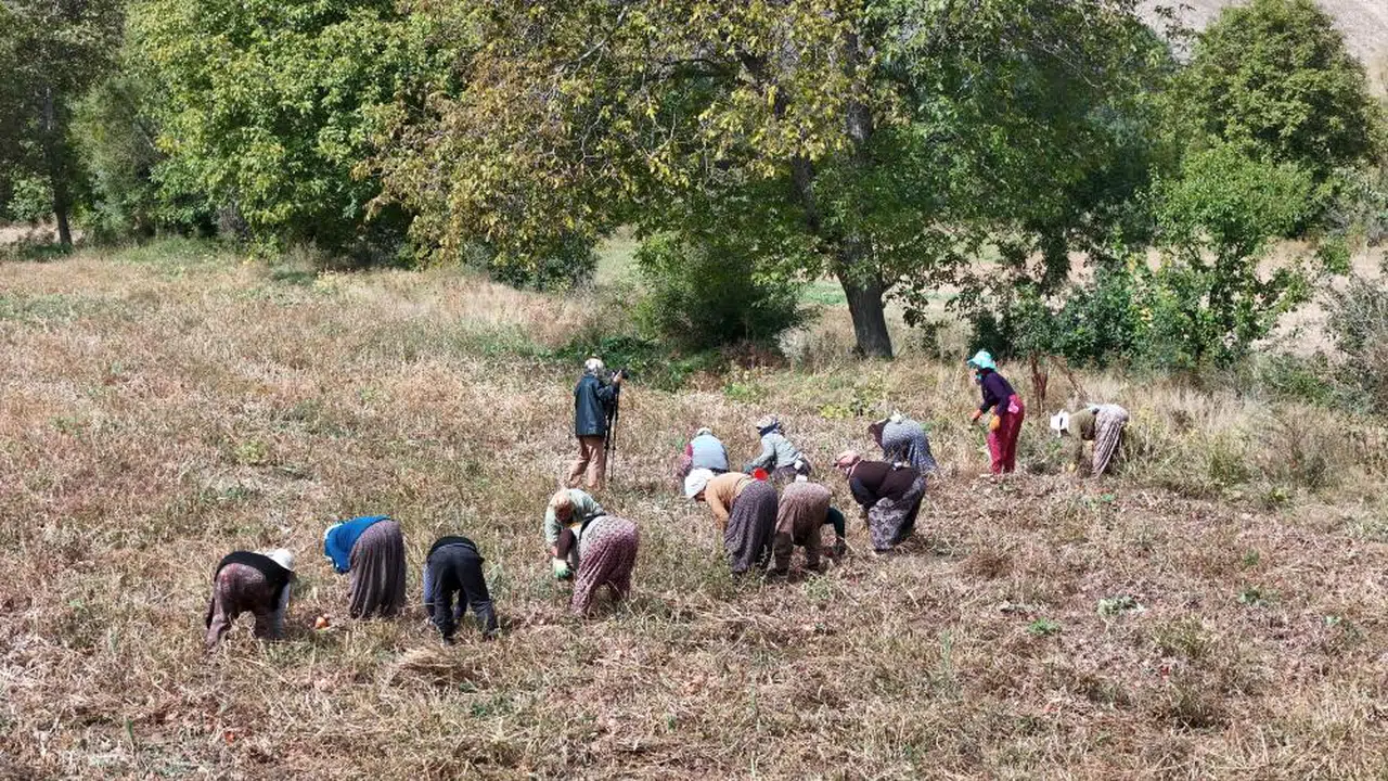 Çiftçiler desteklerine kavuştu