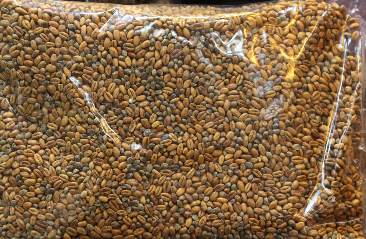 Sivas’ta unutulan gurbetçi sofrasında yaşayan o lezzet