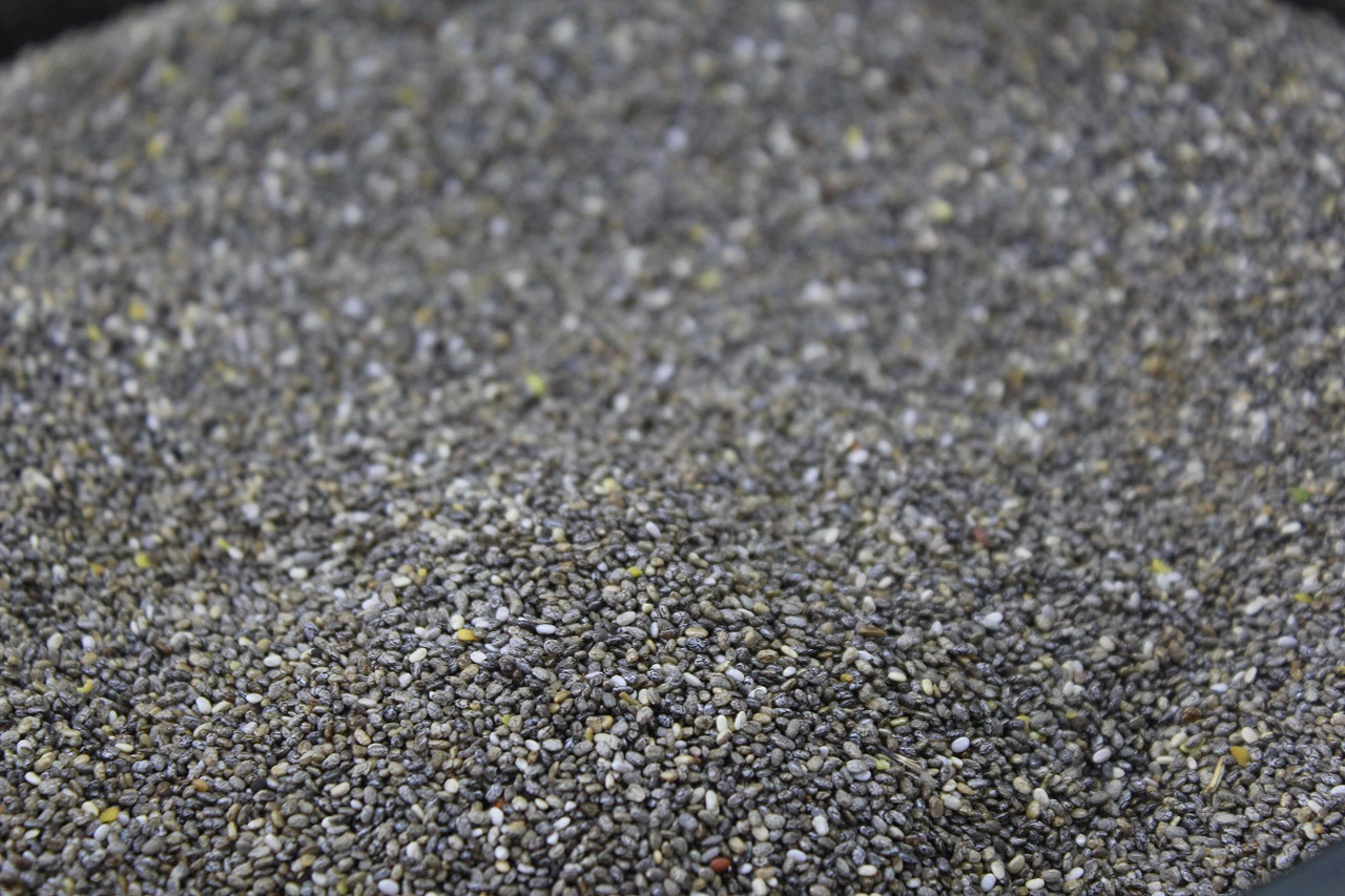 Bu tohum doğal şifa arayanların yeni gözdesi