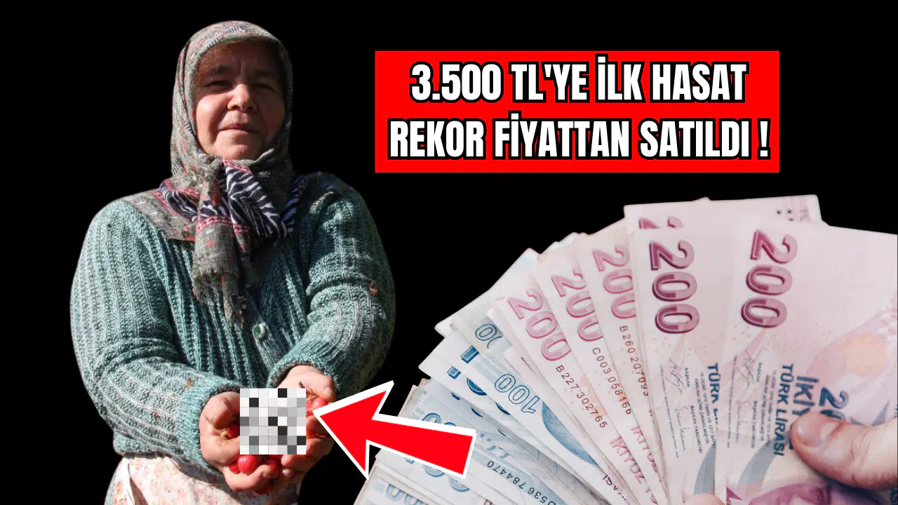 Kilosu İnanılmaz Rakam: 3.500 TL!