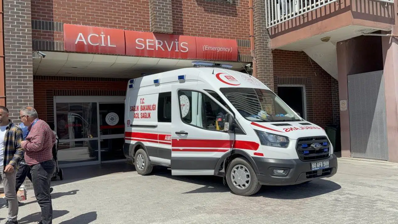 Koyulhisar'da küçük Metehan’ı hayattan koparan ısırık