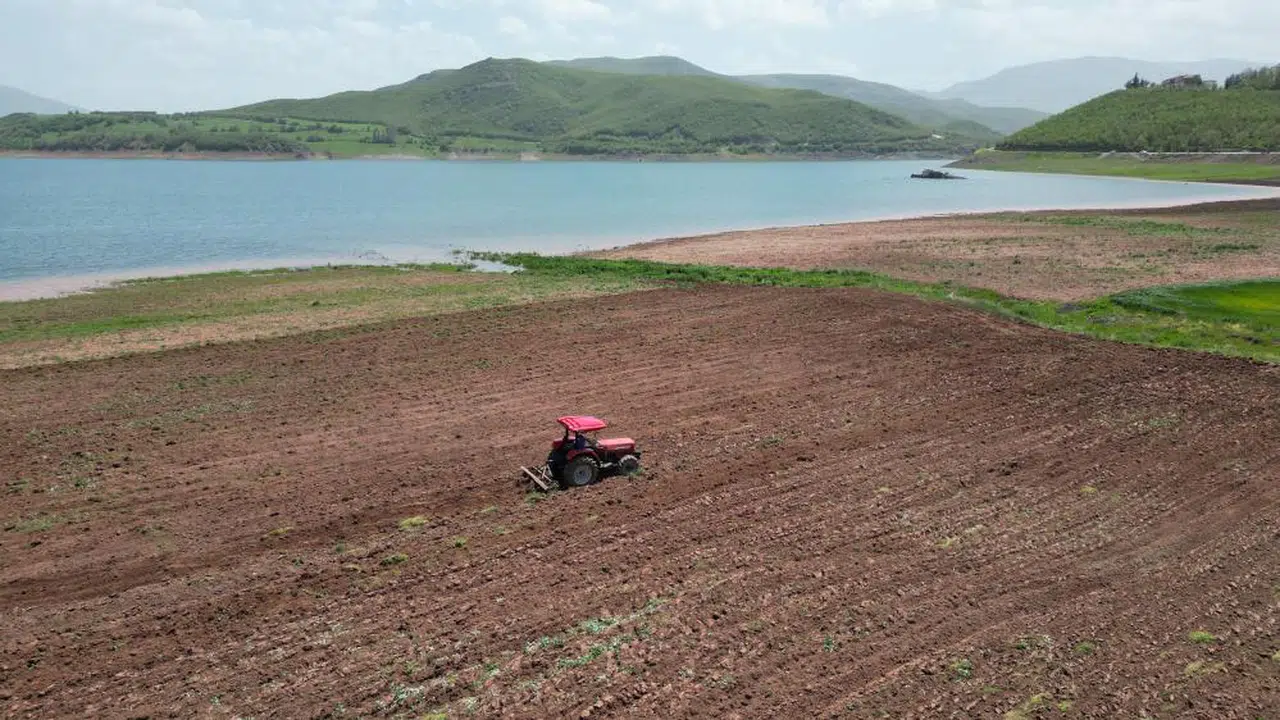Dört Yıl Önce Barajdı Şimdi Tarla Oldu!