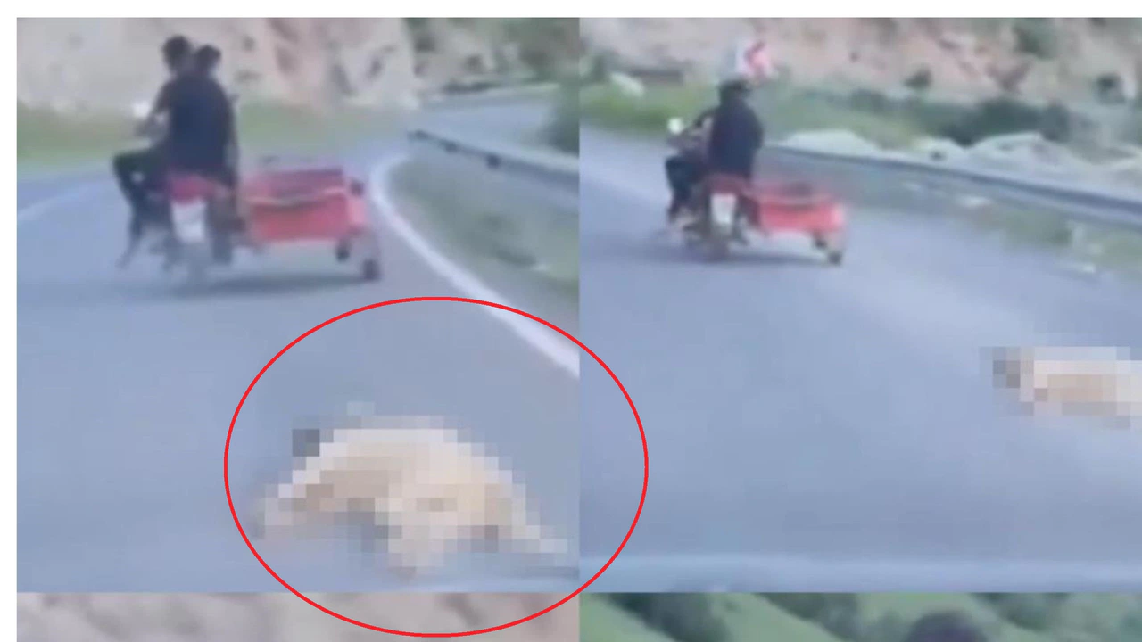 Motosikletin arkasında sürükledi ceza kaçınılmaz oldu