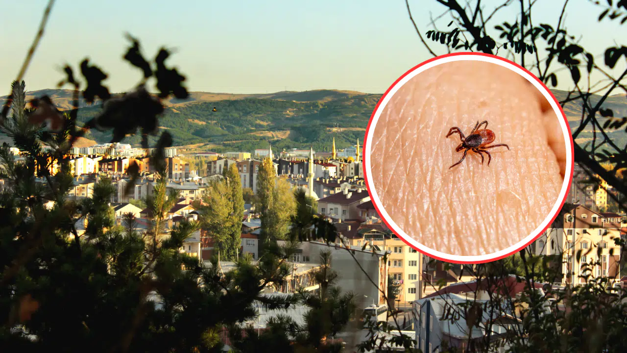 Sivas’ta Sessiz Tehlike Geri Döndü! Piknik Keyfi Ölümle Sonuçlanmasın