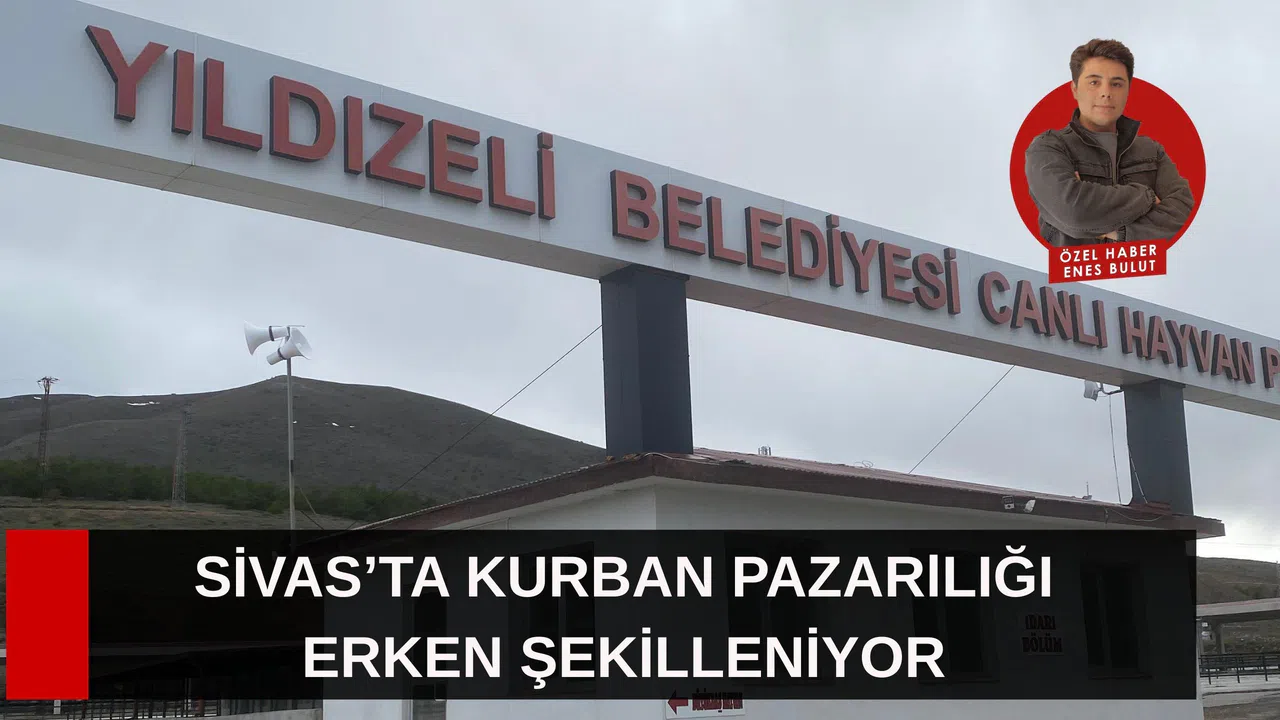 Sivas’ta Kurban pazarlığı erken şekilleniyor