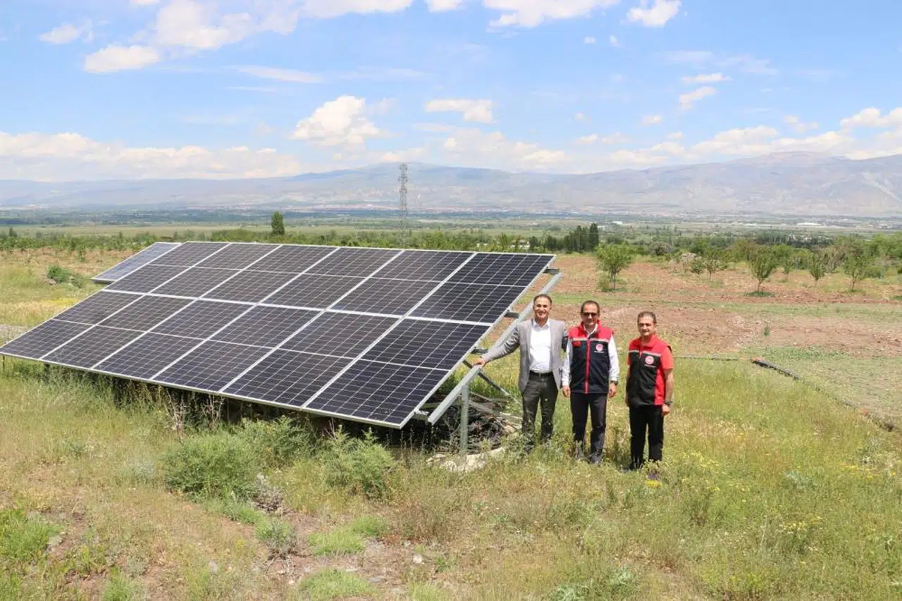 Güneş enerjili bahçede teknolojiyle ceviz yetişiyor