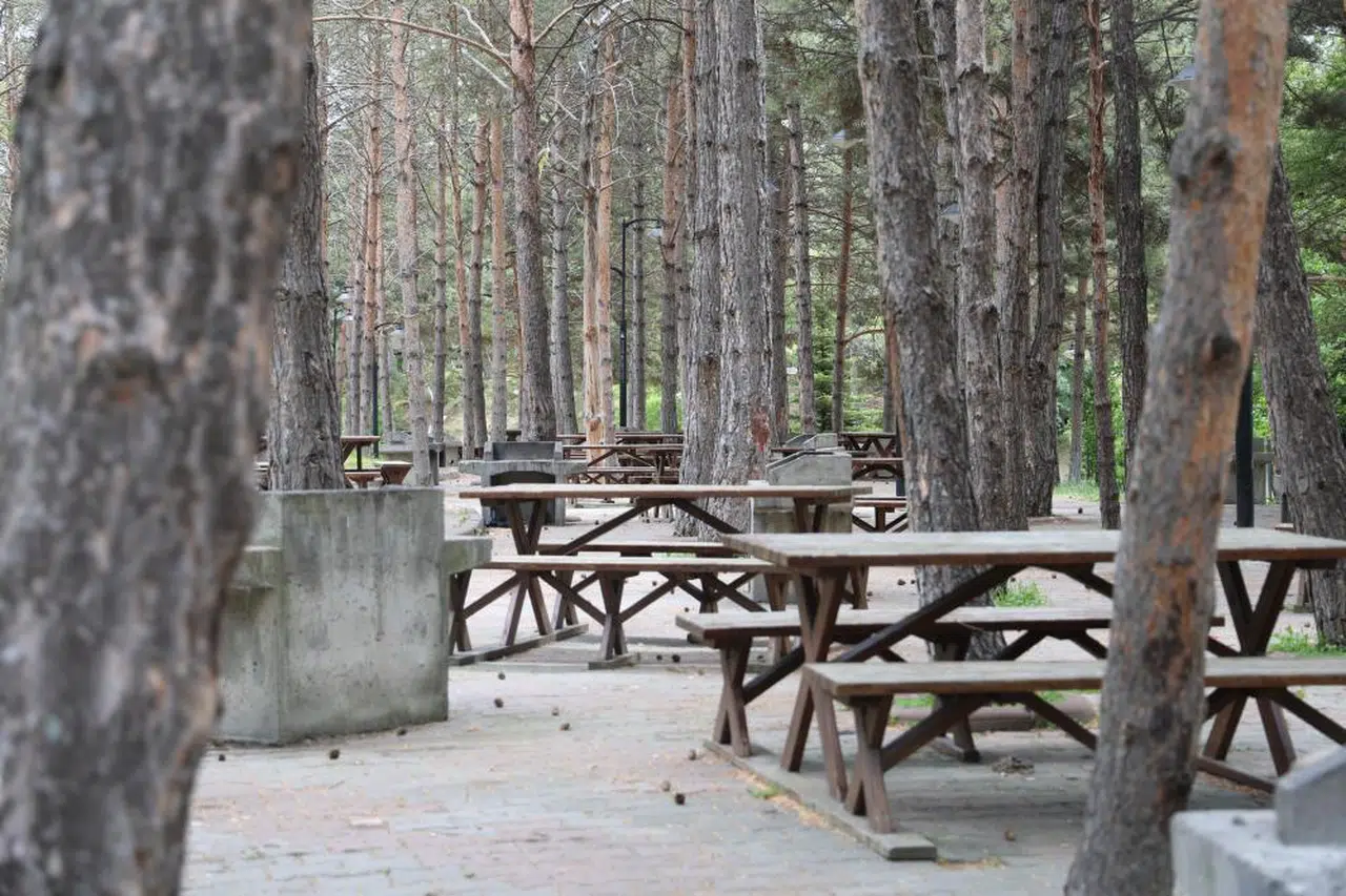 Sivas’ta bu yaz mesire alanları neden bomboş kaldı?