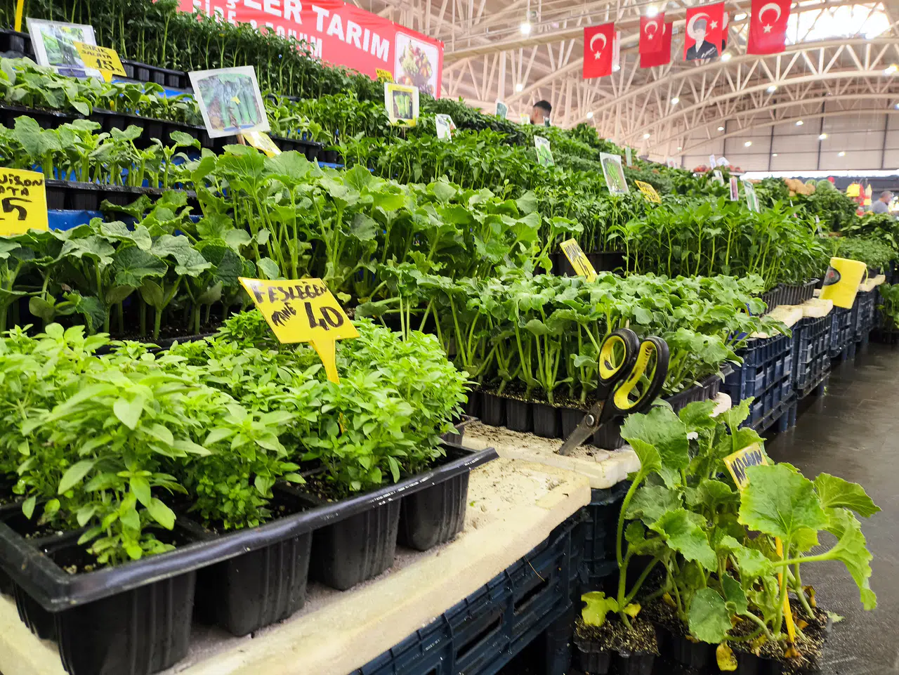 Fide satışı yavaşladı şimdi sıra bahçe ürünlerinde