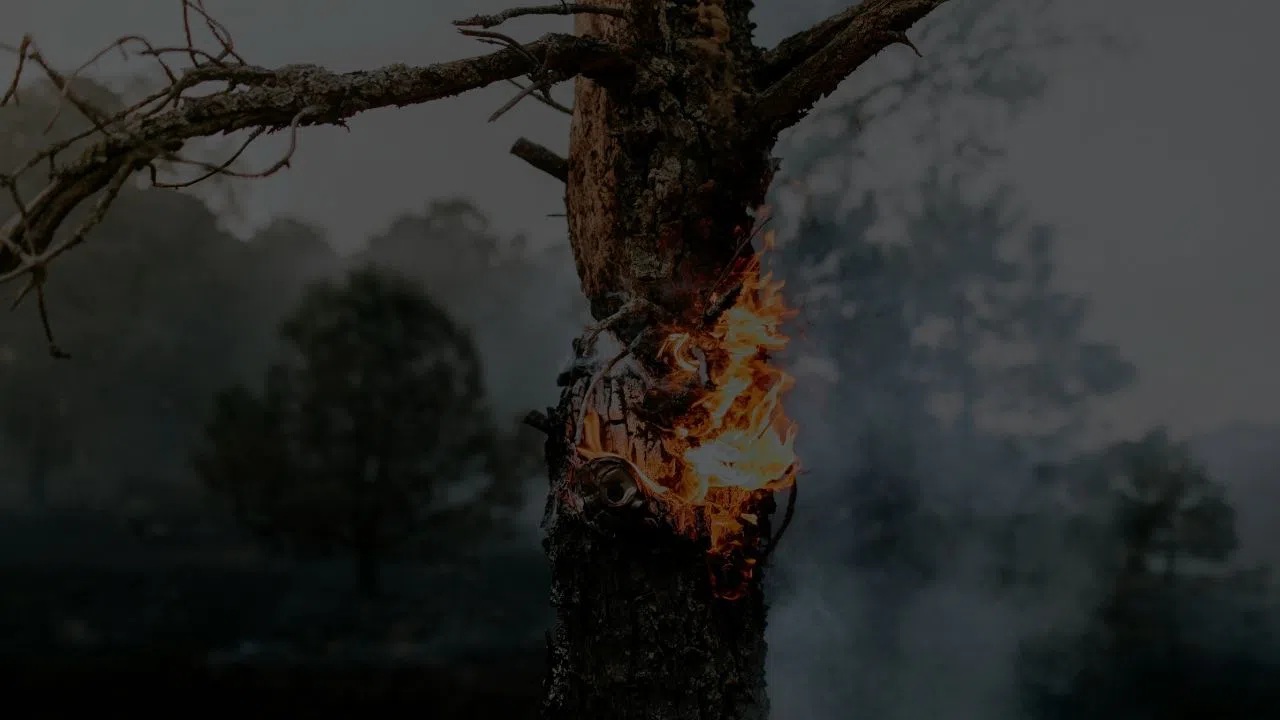 Sivas Valiliği'nden'Kırmızı Alarm Gibi Uyarı!